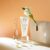Tratament reparator fara clatire cu unt de shea Rated Green Real Shea Protein Recharging 150ml